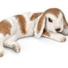 SCHLEICH - Farm Life, Widderchen, Liegend -Hochwertiger Spielzeugladen 3a1494f0a1fbd6f35a88eab89bbc314bd7dfd0a448ff85f0ba2f931c981499f0