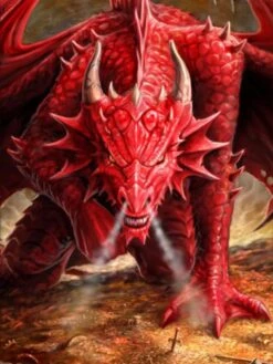 Magnetic Double Deck Armor Wrath Of The Dragon