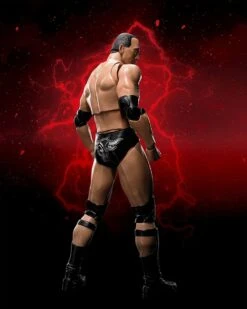 WWE Superstar Series - The Rock - S.H. Figuarts Figur -Hochwertiger Spielzeugladen 81h6f8v uzl. ac sl1500