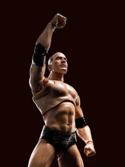 WWE Superstar Series - The Rock - S.H. Figuarts Figur -Hochwertiger Spielzeugladen 81igpavzhnl. ac sl1500