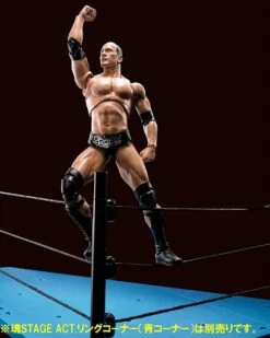 WWE Superstar Series - The Rock - S.H. Figuarts Figur -Hochwertiger Spielzeugladen 81mq wk9rnl. ac sl1500