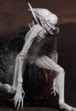 NECA Alien Covenant - Neomorph Alien Actionfigur -Hochwertiger Spielzeugladen 82eba2737dcc9389678b3c66e5e7cd795af67d519d4e1c5f2dcf3958cf8afe11