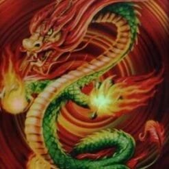 9 Pocket Portfolio China Dragon II