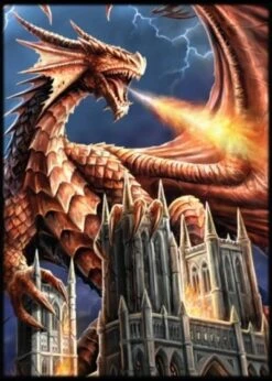 Dragon Fury Protectors